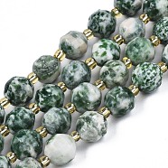 Natural Green Spot Jasper Beads Strands, with Seed Beads, Faceted Bicone Barrel Drum, 7~8x7~8mm, Hole: 1mm, about 35~38pcs/strand, 13.82 inch~14.84 inch(35.1~37.7cm)(G-N326-100-07)
