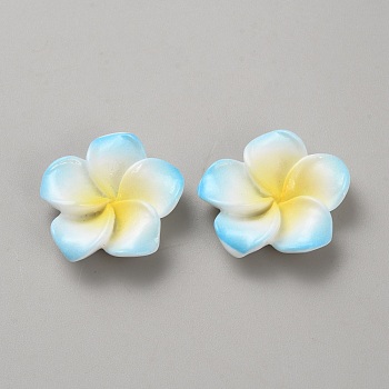 Two Tone Resin Cabochons, Flower, Light Sky Blue, 24.5x24.5x5.5mm