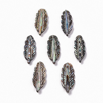 Natural Paua Shell Pendants, Leaf, 24x9x2mm