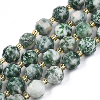 Natural Green Spot Jasper Beads Strands, with Seed Beads, Faceted Bicone Barrel Drum, 7~8x7~8mm, Hole: 1mm, about 35~38pcs/strand, 13.82 inch~14.84 inch(35.1~37.7cm)