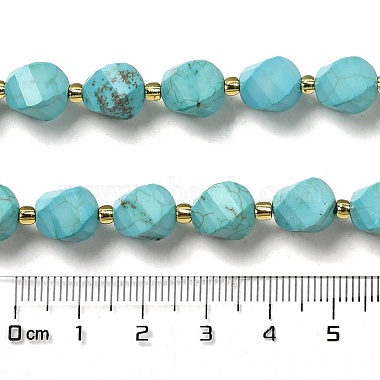Dyed Natural Howlite Beads Strands(G-G023-B01-01B)-5