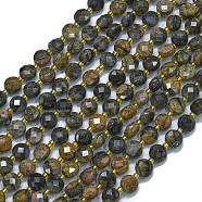 Natural Glaucophane Beads Strands, with Seed Beads, Faceted, Flat Round, 6~6.5x4mm, Hole: 1mm, about 50pcs/strand, 15.35 inch(39cm)(G-K389-B13-01)