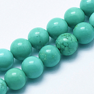 Natural Magnesite Beads Strands, Dyed & Heated, Round, Dark Cyan, 6mm, Hole: 1mm, about 62pcs/strand, about 15 inch(G-K244-02-6mm-02)