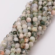 Natural Tree Agate Bead Strands, Dyed, Faceted, Round, 6mm, Hole: 1mm, about 56~58pcs/strand, 14 inch(X-G-G882-6mm-E02)