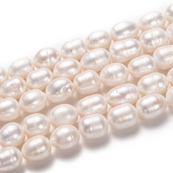 Natural Cultured Freshwater Pearl Beads Strands, Rice, Bisque, 11~14x10~11mm, Hole: 0.8mm, about 28pcs/strand, 13.78 inch(35cm)(PEAR-L033-88-01)