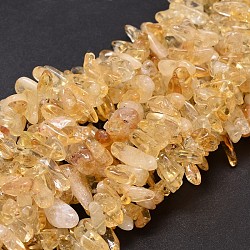 Natural Citrine Chip Beads Strands, Dyed & Heated, 8~30x5~12mm, Hole: 1mm, about 15.3 inch~15.7 inch(G-E271-41)