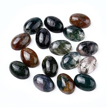Natural Indian Agate, Flat Back, Oval, 14x10x5mm