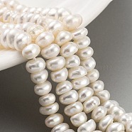 Natural Cultured Freshwater Pearl Beads Strands, Grade 3A, Rondelle, Antique White, 5~5.5mm, Hole: 0.7mm, about 43pcs/strand, 7.09~ 7.28 inch(18~18.5cm)(PEAR-C003-29A)