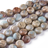 Natural Aqua Terra Jasper Beads Strands, Flat Round, 8x4~4.5mm, Hole: 1.4mm, about 53pcs/strand, 15.5~15.7 inch(39.5~40cm)(G-F612-01A)