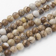 Natural Picture Jasper Bead Strands, Round, 4~4.5mm, Hole: 1mm, about 85~90pcs/strand, 14.9 inch(38cm)(G-G735-16-4mm)