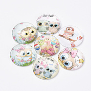 Printed Glass Flat Back Cabochons, Dome/Half Round, Owl Pattern, Mixed Color, 10x3.5mm(GGLA-Q056-002-10mm)