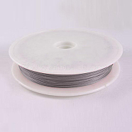 Tiger Tail Wire, Nylon-coated Stainless Steel, Original Color(Raw), Raw, 0.3mm, about 229.65 Feet(70m)/roll(TWIR-70R0.3MM-1)