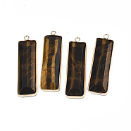 Natural Tiger Eye Pendants, with Golden Tone Brass Findings, Rectangle, 48~49x13x4~5mm, Hole: 2.5mm(G-S359-386D)
