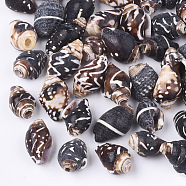 Spiral Shell Beads, Coconut Brown, 10~16x7~10x7~9mm, Hole: 1~3mm, about 1080pcs/500g(SSHEL-T008-24)