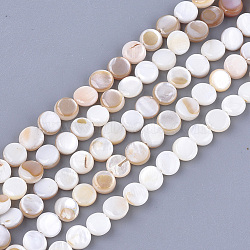 Freshwater Shell Beads Strands, Flat Round, Seashell Color, 6x2~3mm, Hole: 0.5mm, about 64~68pcs/strand, 14.5 inch(X-SHEL-S276-15A)
