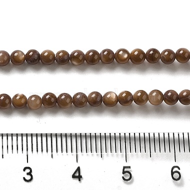 Natural Freshwater Shell Beads Strands(SHEL-H003-03D)-4