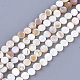 Freshwater Shell Beads Strands(X-SHEL-S276-15A)-1