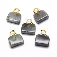 Natural Labradorite Brass Pendants, Golden, Bag, 27~29x24~26x9~13mm, Hole: 6mm(KK-E274-01G-04)