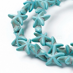Synthetic Turquoise Beads Strands, Dyed, Starfish/Sea Stars, Turquoise, 13.5~14x13.5~14x4.5mm, Hole: 1mm, about 36~40pcs/strand, about 15 inch(TURQ-L029-03A)