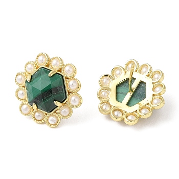Natural Malachite Hexagon Stud Earrings with Plastic Pearl Beaded, Real 14K Gold Plated Brass Jewelry, 17x18mm