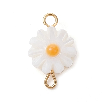 Natural Freshwater Shell Connector Charms, Flower Links with Golden Tone 304 Stainless Steel Loops, WhiteSmoke, 16x10x2.5mm, Hole: 2mm