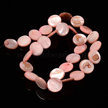 Natural Shell Beads Strands(X-PBB251Y-6)-2