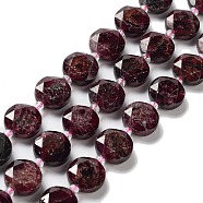 Natural Garnet Beads Strands, with Seed Beads, Faceted Hexagonal Cut, Flat Round, 12~12.5x5~6mm, Hole: 1.2~1.4mm, about 27~29pcs/strand, 15.55~15.75 inck(39.5~40cm)(G-NH0004-046)