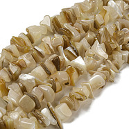 Natural Yellow Shell Beads Strands, Dyed, Nuggets, Wheat, 1.7~7x5.5~16x5~13mm, Hole: 1mm, about 102~109pcs/strand, 14.96~15.55''(38~39.5cm)(SSHEL-H072-05)