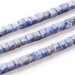 Natural Blue Spot Jasper Beads Strands, Cube, 4x4x4mm, Hole: 0.7mm, about 89~91pcs/Strand, 15.3 inches(40cm)(G-F631-K06)