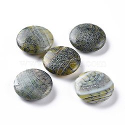 Natural Brazilian Agate Beads, No Hole/Undrilled, Flat Round, 24.6x7.7mm(G-H231-17)