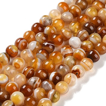 Natural Striped Agate/Banded Agate Beads Strands, Dyed, Round, Sandy Brown, 6mm, Hole: 0.8mm, about 32pcs/strand, 7.60''(19.3cm)