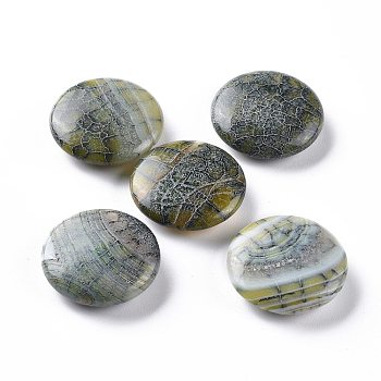 Natural Brazilian Agate Beads, No Hole/Undrilled, Flat Round, 24.6x7.7mm