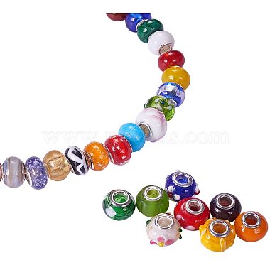 Mixed Styles Handmade Lampwork Glass European Beads(LPDL-PH0001-03)-2