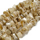 Natural Yellow Shell Beads Strands(SSHEL-H072-05)-1