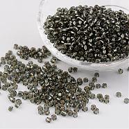 8/0 Glass Seed Beads, Silver Lined Round Hole, Round, Light Grey, 3mm, Hole: 1mm, about 1097pcs/50g(X-SEED-A005-3mm-52)