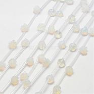 Opalite Beads, Rose, 10x5~9mm, Hole: 1mm(G-O156-B-12)