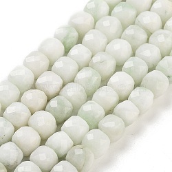 Natural White Jade Beads Strands, Faceted, Dyed, Cube, Mint Cream, 7x8x7mm, Hole: 1mm, about 47~48pcs/strand, 13.35~13.46''(33.9~34.2cm)(G-H028-A09-19)