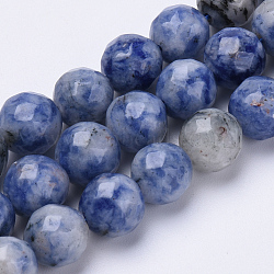 Natural Brazil Sodalite Beads Strands, Faceted, Round, 6mm, Hole: 1mm, about 62pcs/strand, 15.3 inch(G-S281-10-6mm)
