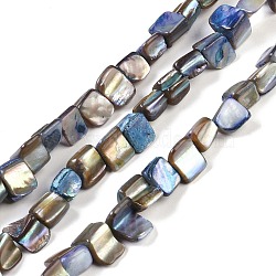 Dyed Natural Freshwater Shell Beads Strands, Nuggets, Steel Blue, 7.5~9x9.5~15x5~9mm, Hole: 0.9mm, about 42~50pcs/strand, 14.45''~14.76''(36.7~37.5cm)(SHEL-P016-01B)