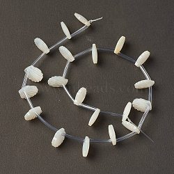 Natural White Shell Mother of Pearl Shell Beads, Top Drilled, Shell, Creamy White, 10x10x3mm, Hole: 1mm, about 20pcs/strand, 10.63''(27cm)(BSHE-B005-07)