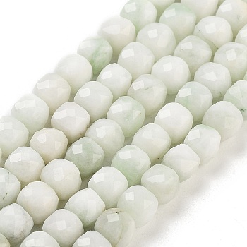 Natural White Jade Beads Strands, Faceted, Dyed, Cube, Mint Cream, 7x8x7mm, Hole: 1mm, about 47~48pcs/strand, 13.35~13.46''(33.9~34.2cm)