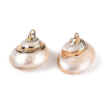 Natural Sea Shell Pendants, Shell Shaped Charms with Golden Tone Iron Loops, White, 18~26x15~26x17~24mm, Hole: 1.6~2.5mm