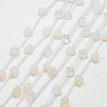 Opalite Beads, Rose, 10x5~9mm, Hole: 1mm