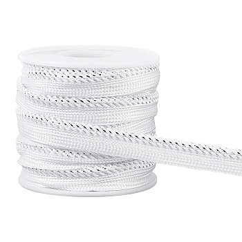 Filigree Polyester Ribbon, Piping Strips for Home Textile Decoration, with Plastic Empty Spools, Silver, 3/8 inch(10mm)
