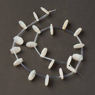 10mm Creamy White Shell White Shell Beads