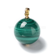 Natural Malachite Round Pendants, Sphere Charms with Golden Tone 925 Sterling Silver Findings, 20x16mm, Hole: 3x2mm(G-P501-07G)