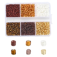 42G 6 Color 8/0 Transparent Glass Seed Beads, Silver Lined, Round, Mixed Color, 3mm, Hole: 1mm, 7G/color(SEED-FS0001-12)
