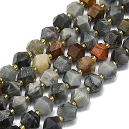 Natural Eagle Eye Stone Beads Strand, Octagonal, Faceted, 9~10.5x9~10.5x7.5~8.5mm, Hole: 1mm, about 36~40pcs/strand, 15.35~15.55 inch(39~39.5cm)(G-I376-A17-01)