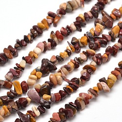 Natural Mookaite Chip Bead Strands, 5~8x5~8mm, Hole: 1mm, about 31.5 inch(G-M205-39)