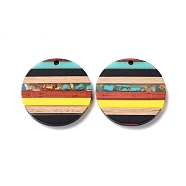 Transparent Resin & Walnut Wood Pendants, with Gold Foil, Flat Round Charm, Colorful, 30x3.5mm, Hole: 2mm(RESI-TAC0017-68A-05)